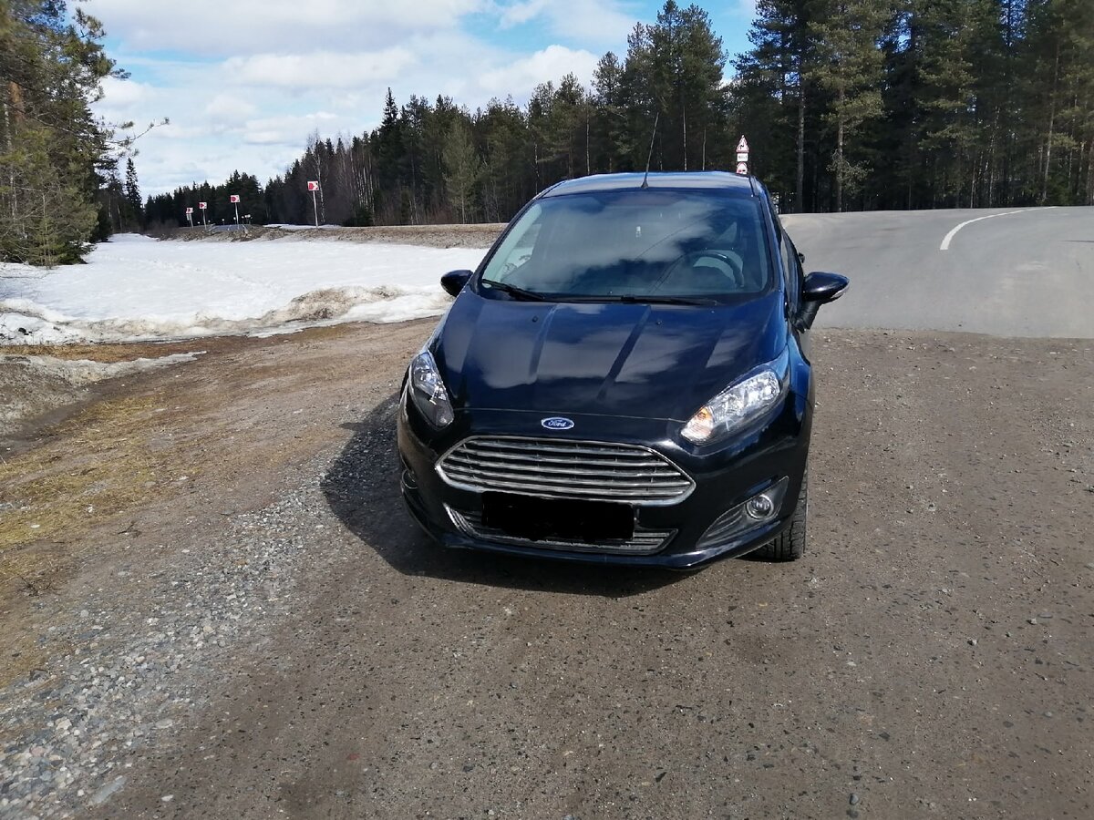 фиеста 2015 года