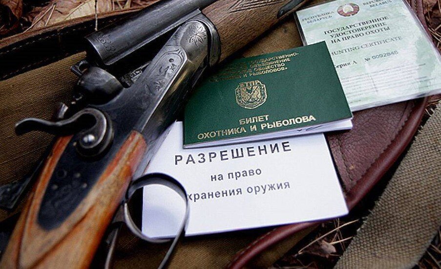 Фото из открытых источников