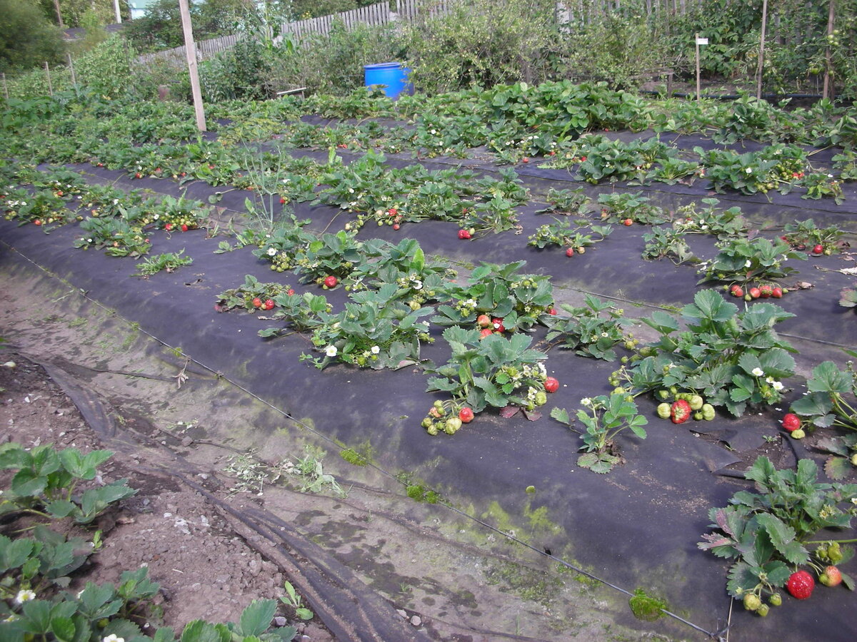 Фото автора статьи