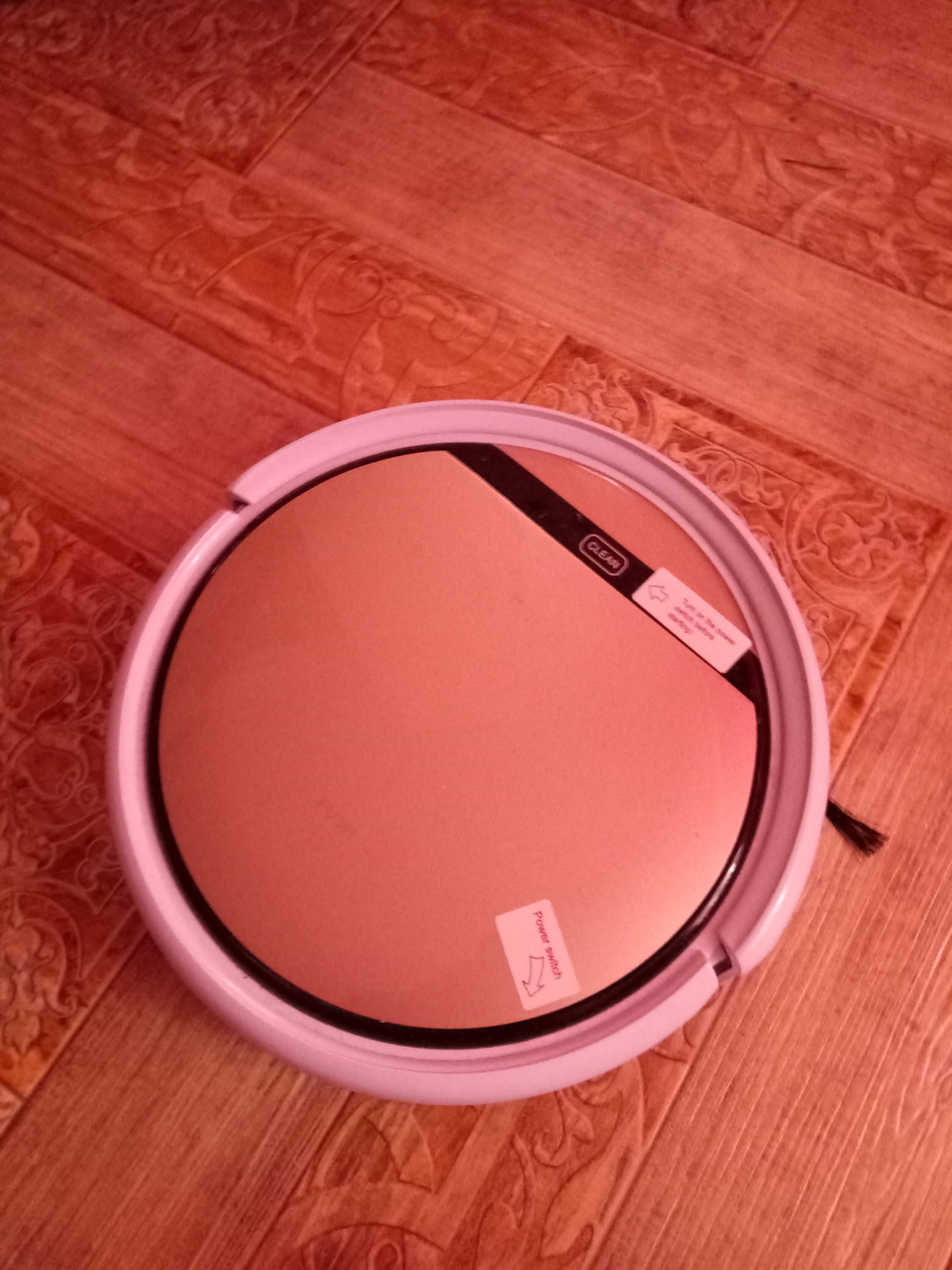 Личный фотоархив. Блюститель чистоты в моем доме!