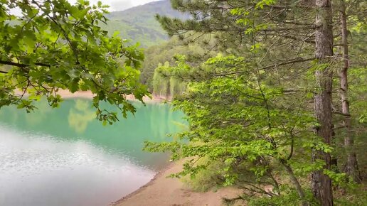 КРЫМ - отключили воду. Местные такого не ждали. Цены на Жильё в Крыму. Ялтинский лук исчезает.