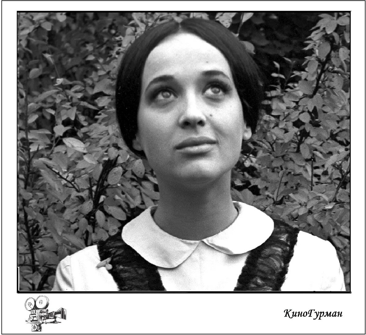 Ирина Печерникова (Яндекс картинки).