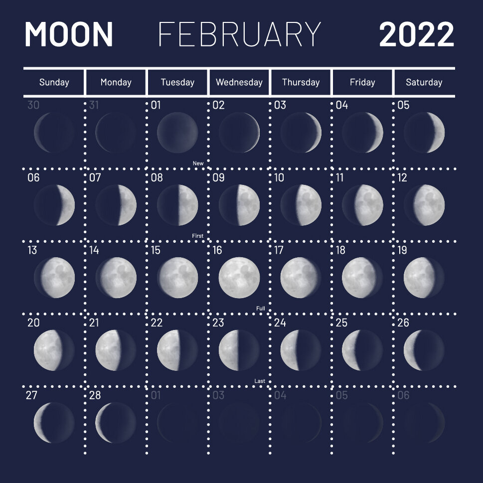 Новолуние в феврале 24 года. Лунный календарь на октябрь садовода и огородника на 2022. Фаза Луны календарь 2022 октябрь. Лунный календарь на октябрь 2022г. Лунный календарь на октябрь 2022 года фазы Луны.