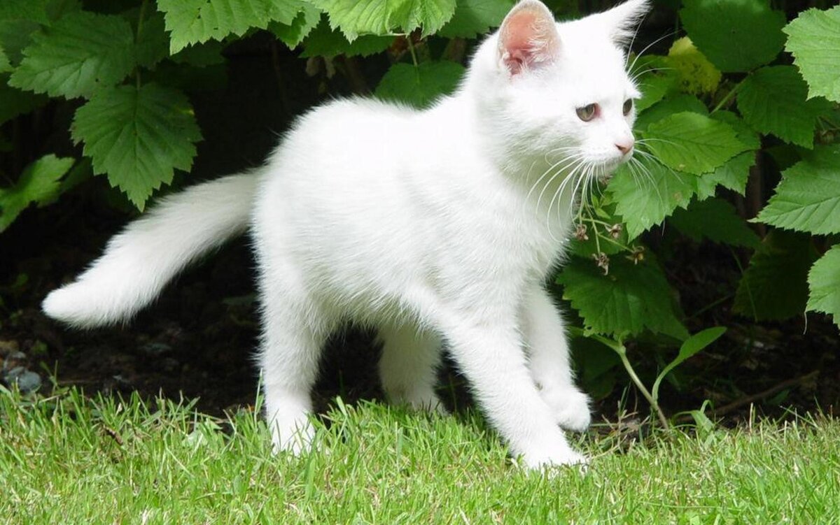 Фото из Интернета