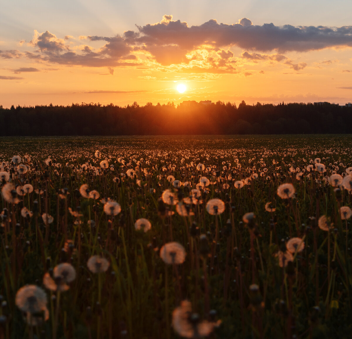 Фотограф Евгений Карепанов