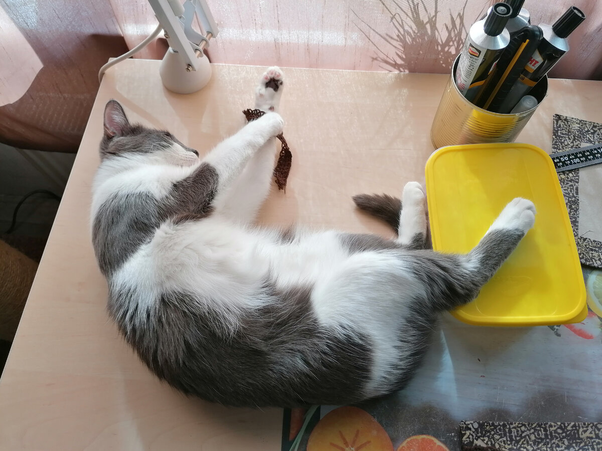 Тогда я проверю все твои ленты и тесемочки. Вот эта слишком толстая, она плохо приклеится, вот увидишь. Отдай лучше мне.