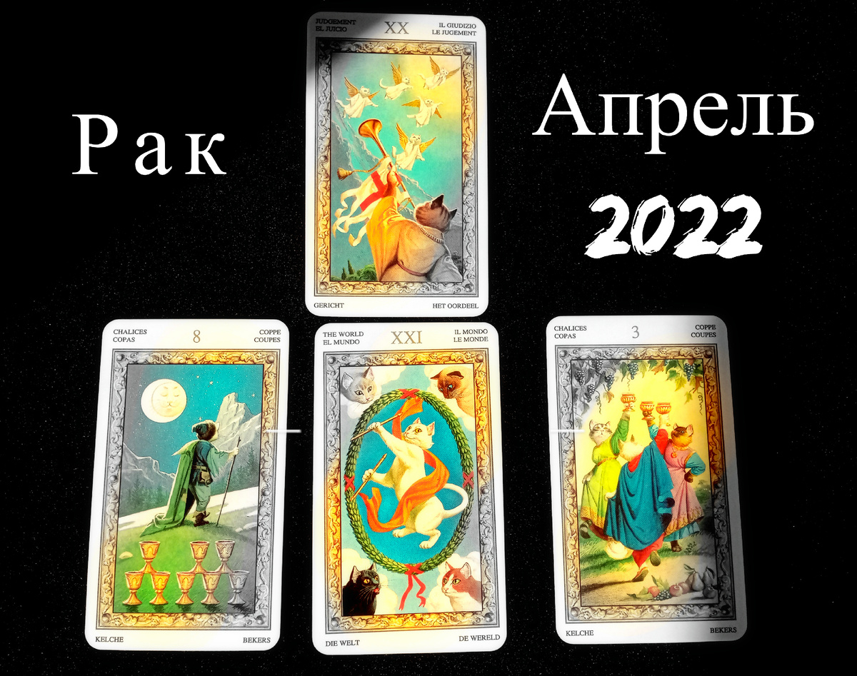 Таро Белых Котов