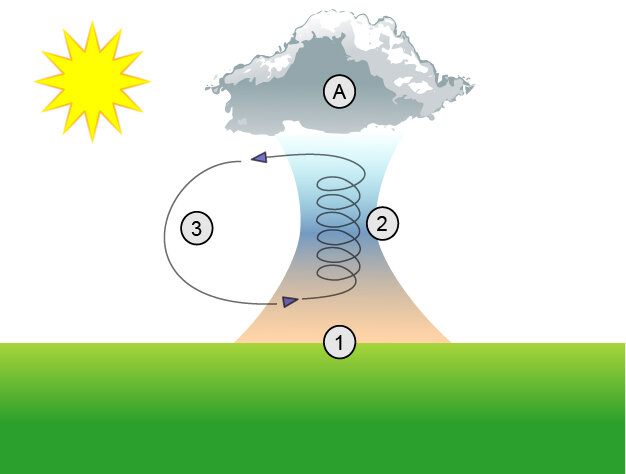 Облако (А) находится над землей. Солнце повышает температуру земли, которая затем нагревает воздух над ней (1). Пузырь горячего воздуха начинает подниматься (2) до определенной точки. Из-за более низкой температуры масса конденсируется и движется вниз (3).