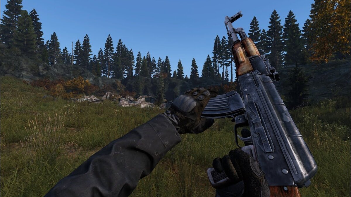 чем rust лучше dayz фото 2