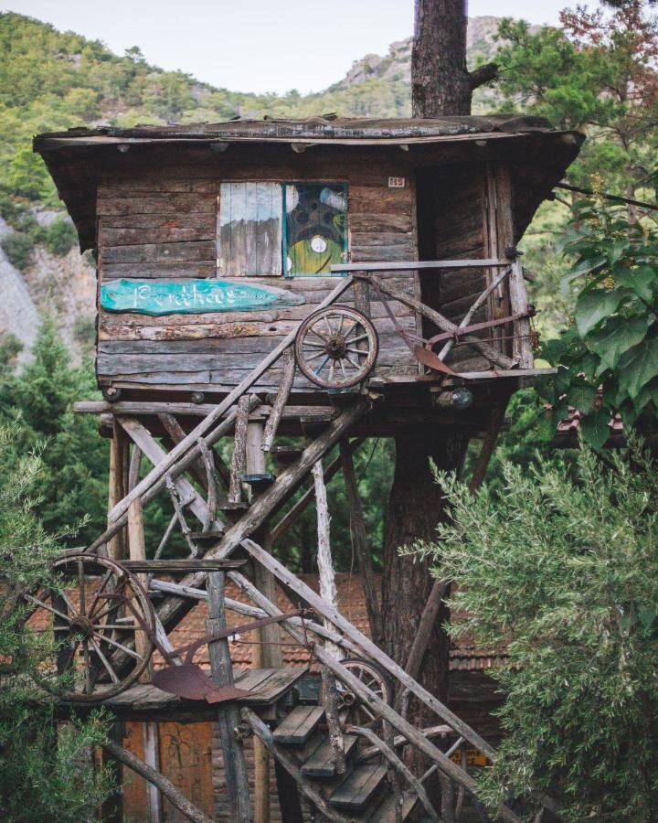 Тоже прекрасный вариант