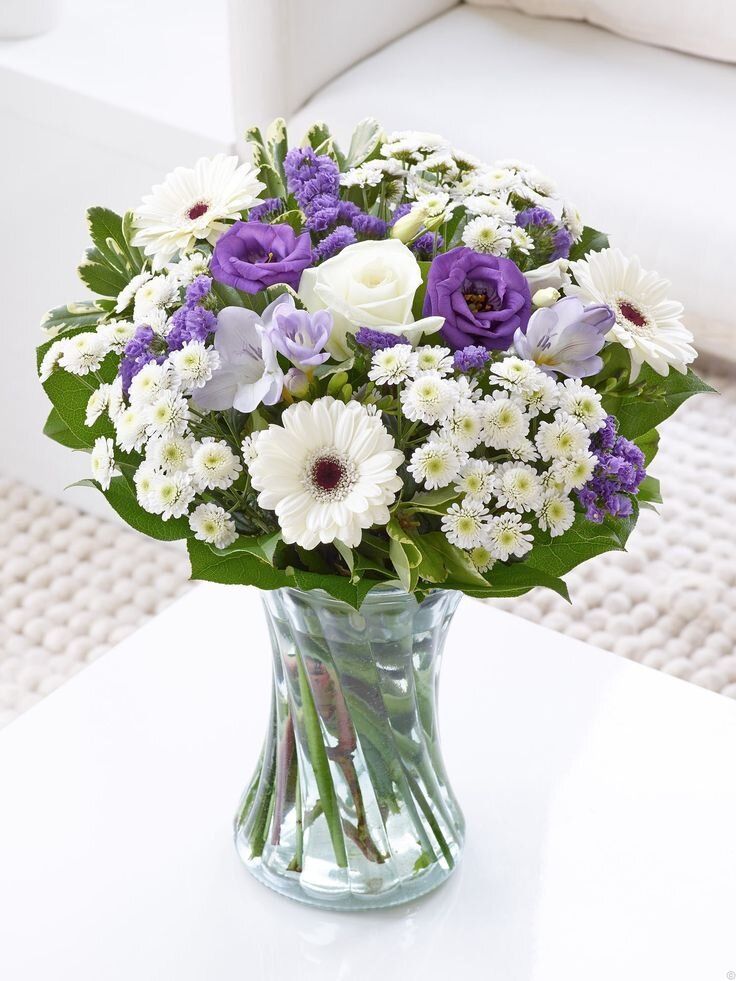 Яндекс картинки