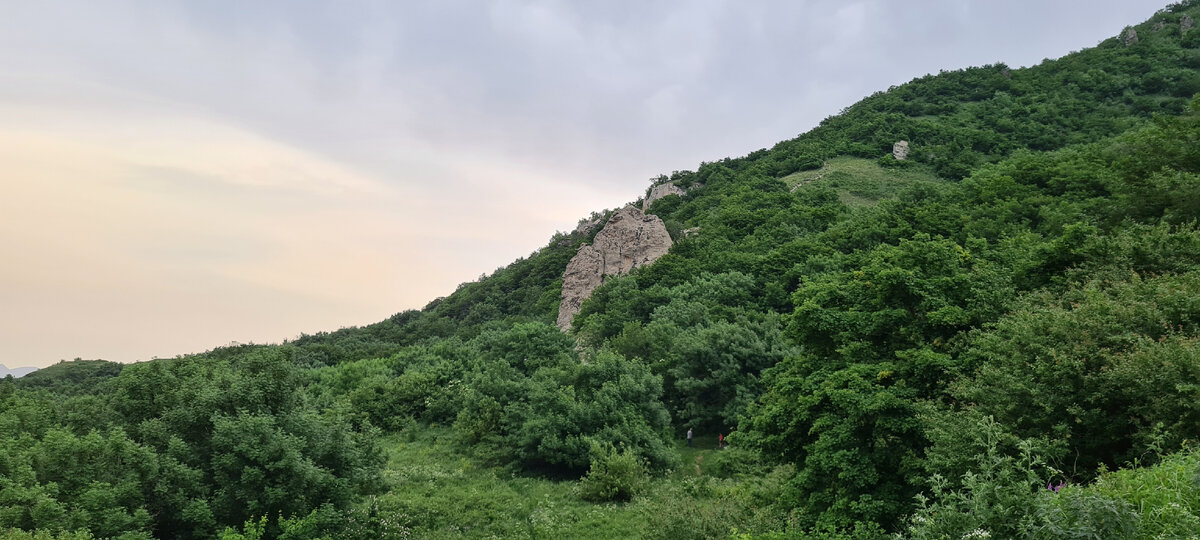 Есть ли на горе Бештау березы