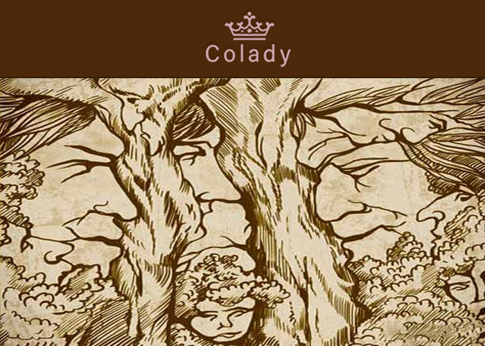 Иллюстрация Colady от Кирилла Даниленко