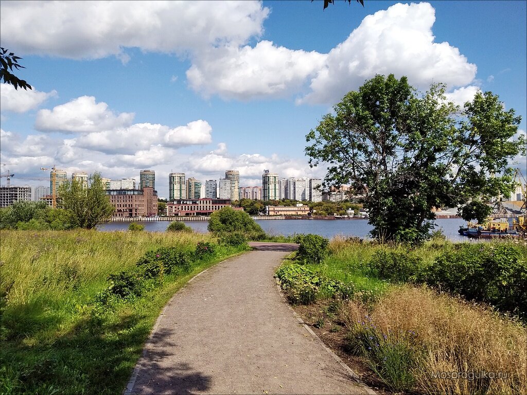 Одна из прогулочных дорожек в парке