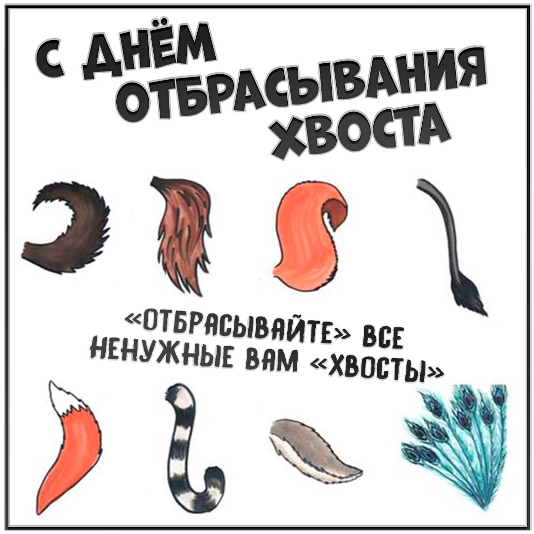 из интернета