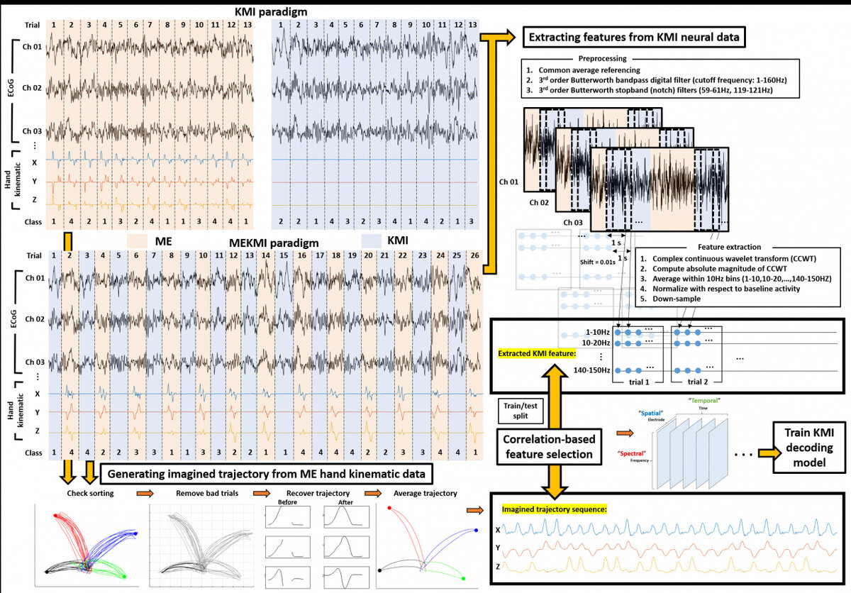 График, поясняющий алгоритм декодирования когнитивных сигналов, возникающих при воображении о траекториях движения руки (KAIST)