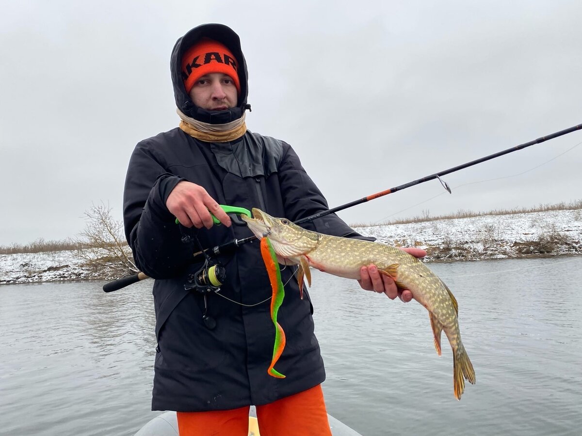 Щуку совсем не смутил размер приманки