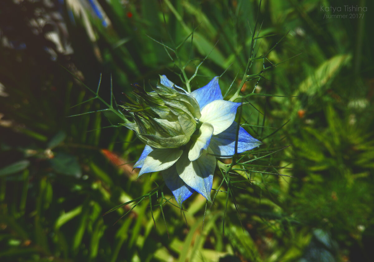 Листайте галерею, чтобы увидеть больше изображений.