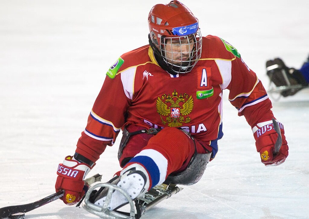 фото sochinews.io