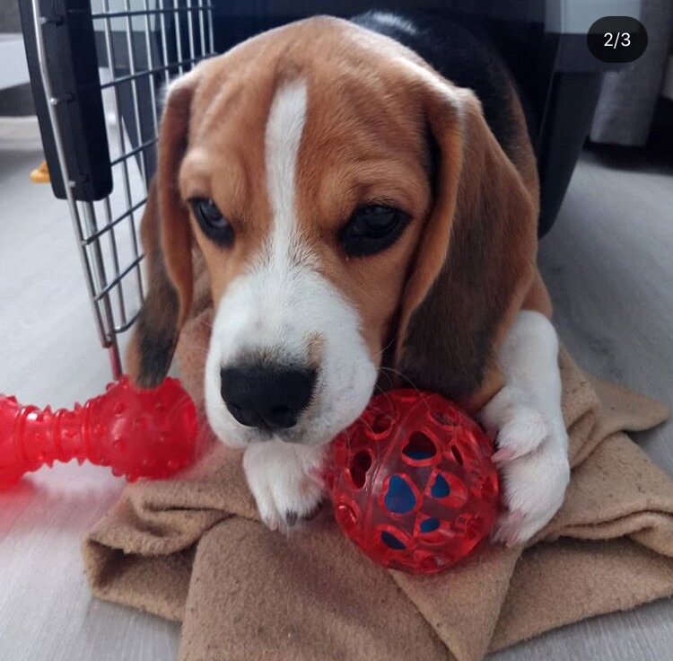 Вот он, первый день в новом доме 