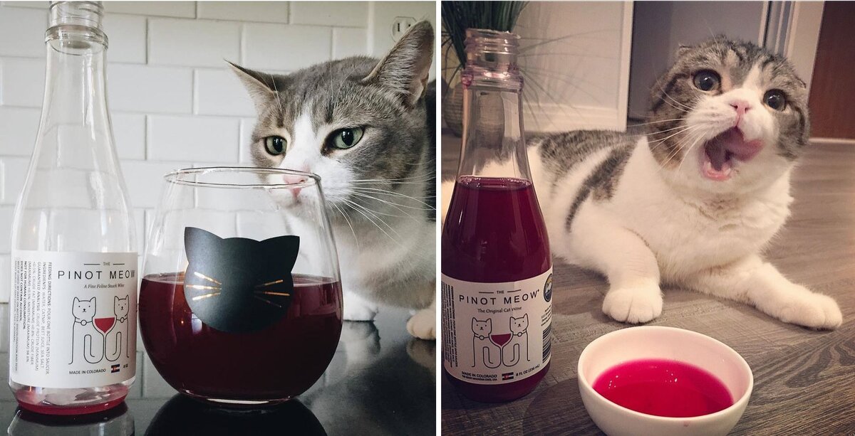 Источник: https://www.meowingtons.com/