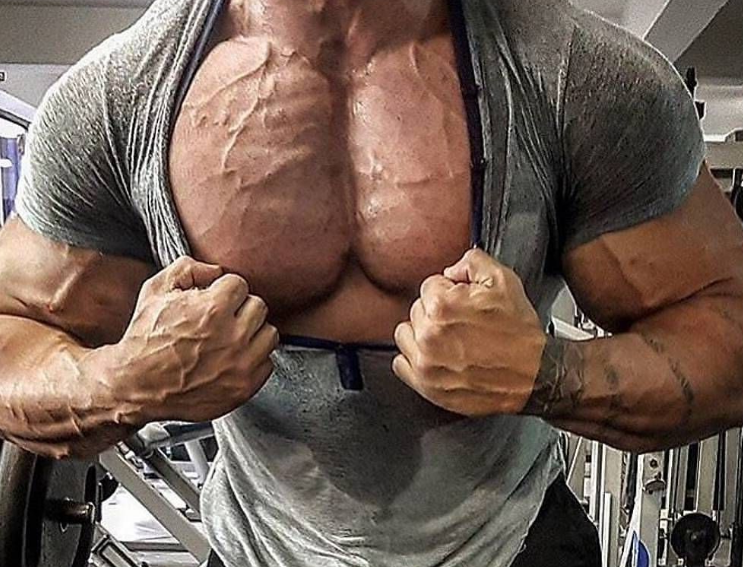 Мощная мужская грудь