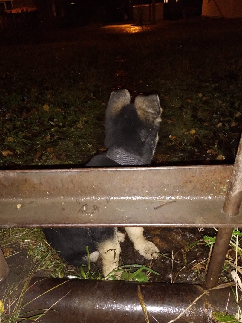 Каждое его новое достижение-наш общий успех.