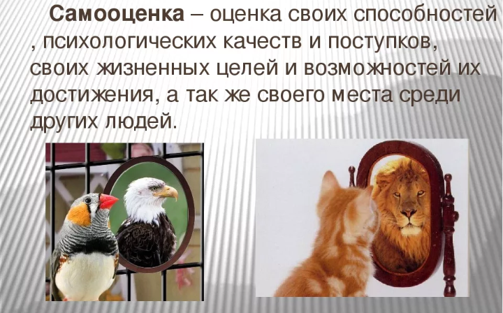 Что такое самооценка в проекте