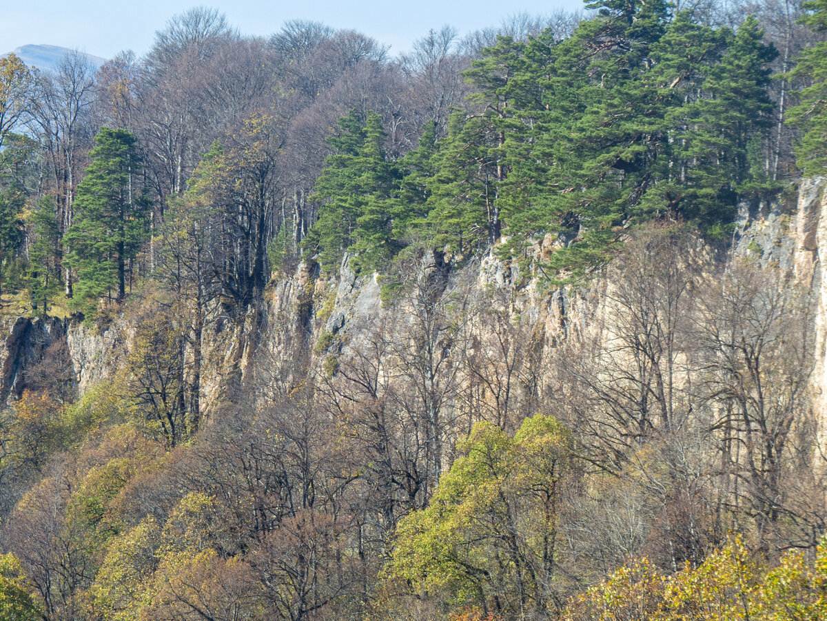 Хребет азиш-тау. Азиш-тау горнолыжный комплекс. Азиш тау адыгея. Азиш тау смотровая площадка. Лаго наки хребет азиш-тау.