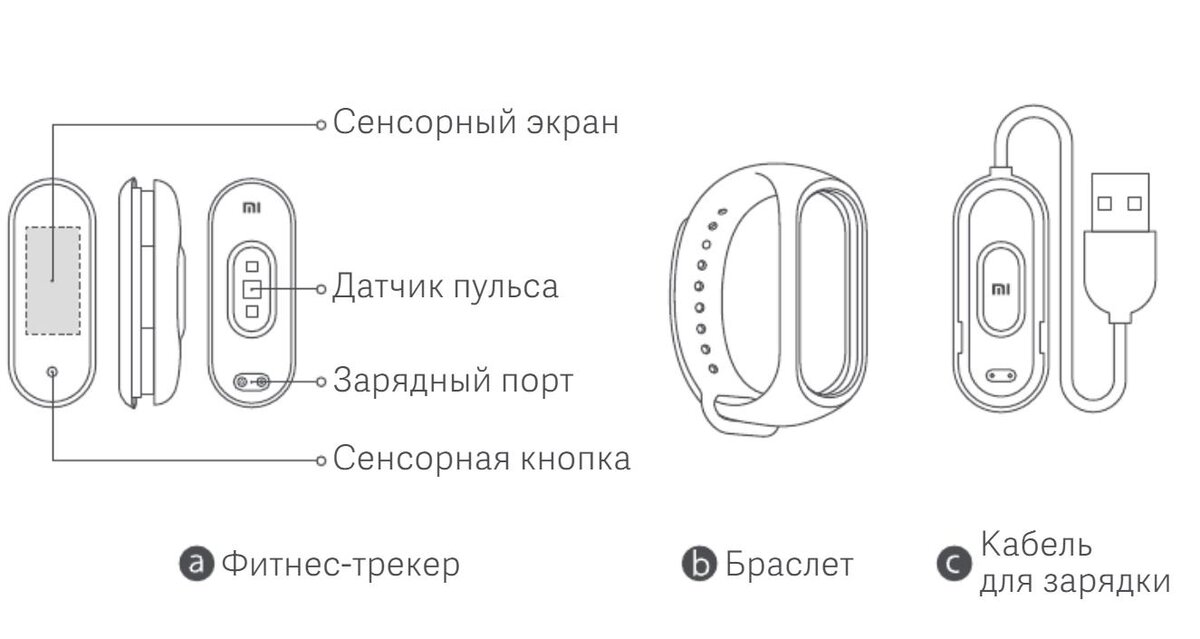 Устройство фитнес браслета схема