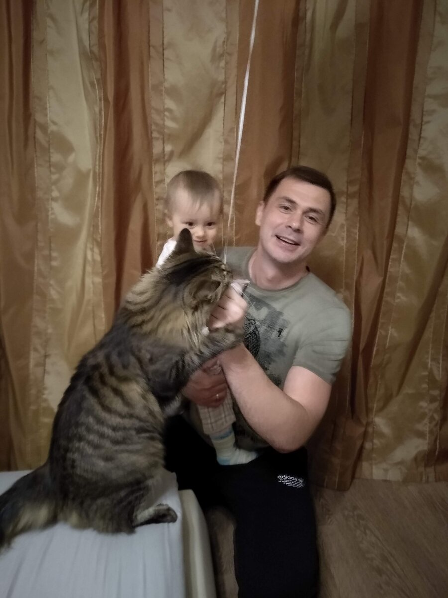 за шарики идет война