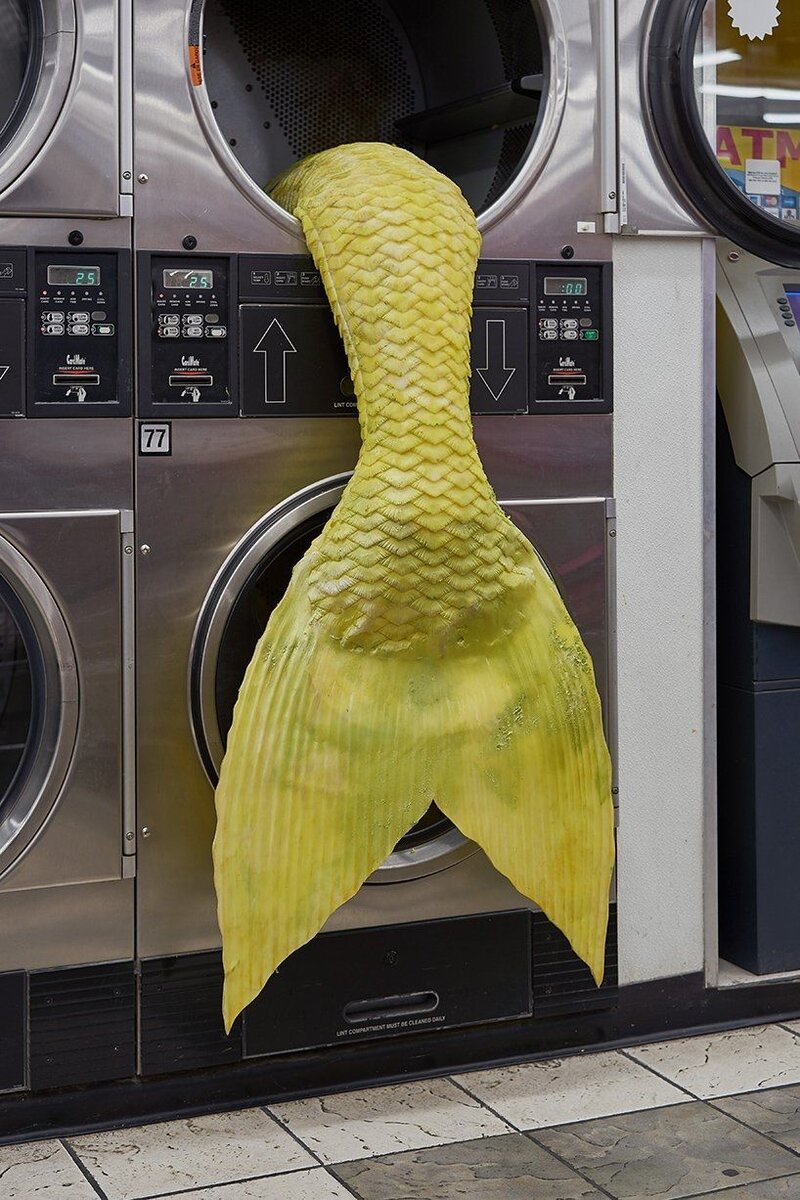 Фото с сайта https://his.ua