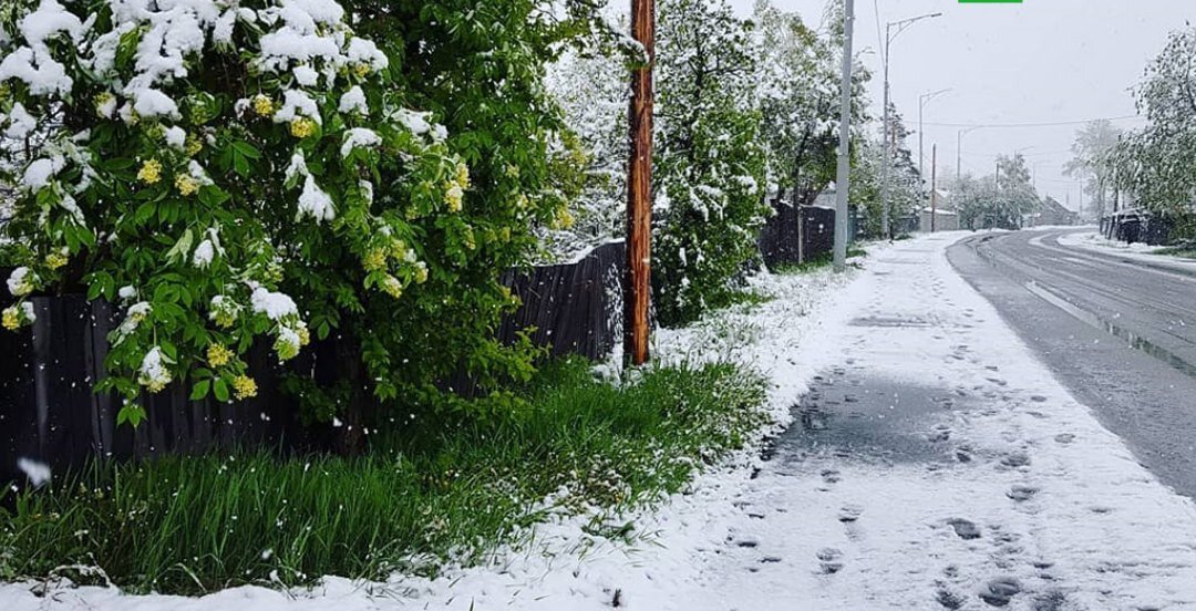 Зимний холод развернулся в летнем дне