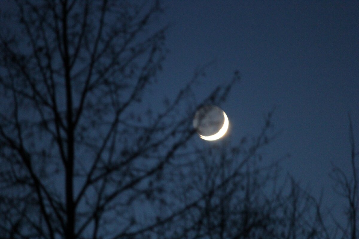 Фото моё @art_earsel 