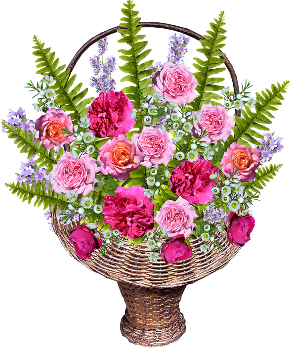 https://pixabay.com/photos/basket-with-roses-ferns-2783766/