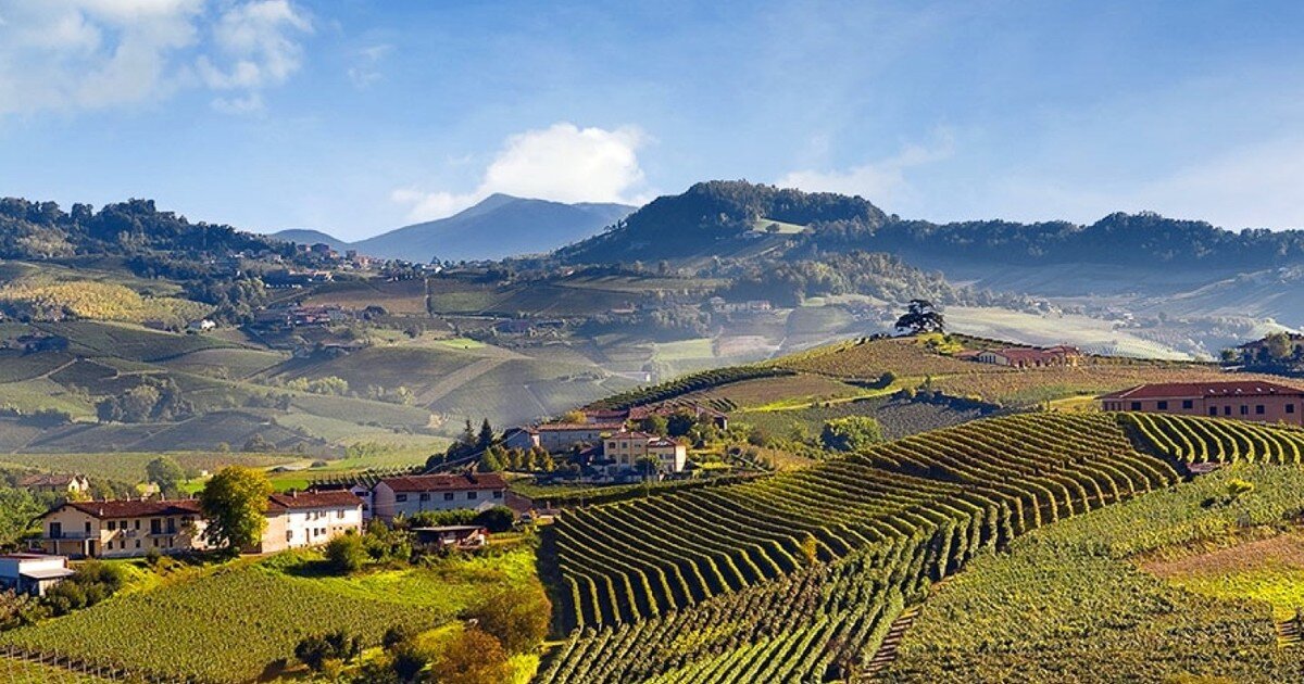 Виноградники Бароло (www.stradadelbarolo.it)