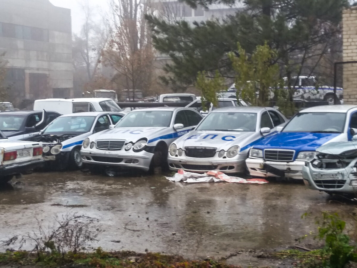 Стоянка списанных иномарок МВД | Фото патрульных автомобилей🚓📸 | ОБРАТНАЯ  СТОРОНА | Дзен