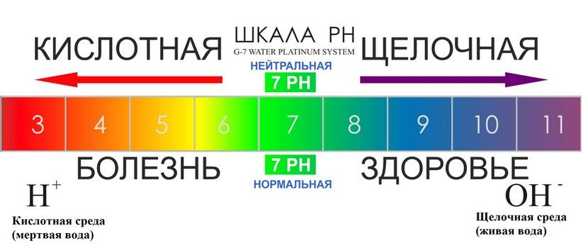 Источник: tetapalitra