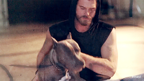 Материал с ресурса di-vi.forum2x2.ru