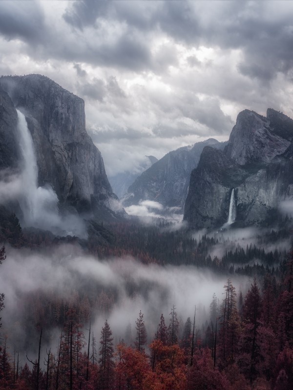 Источник: Яндекс Картинки.