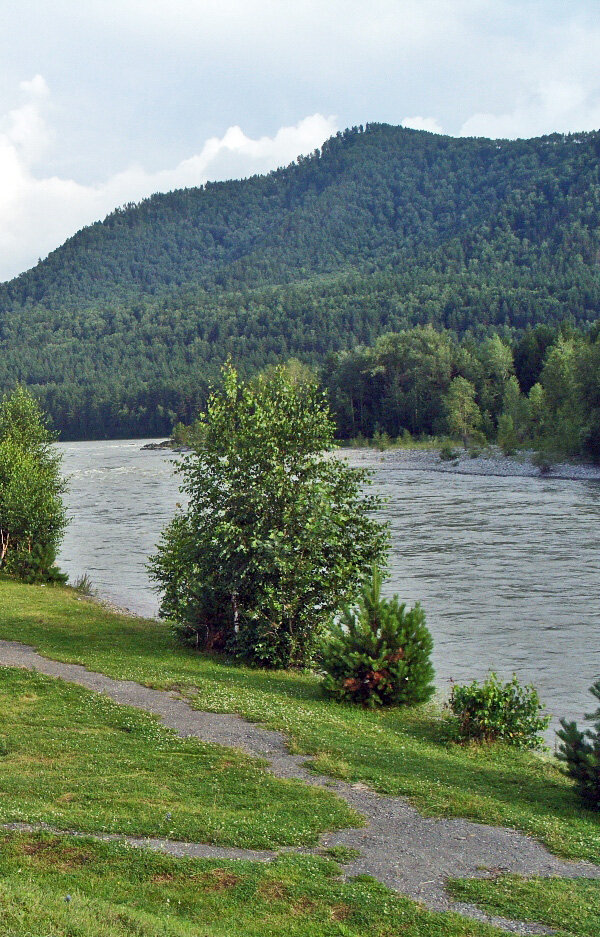 2. Катунь в районе Манжерока
