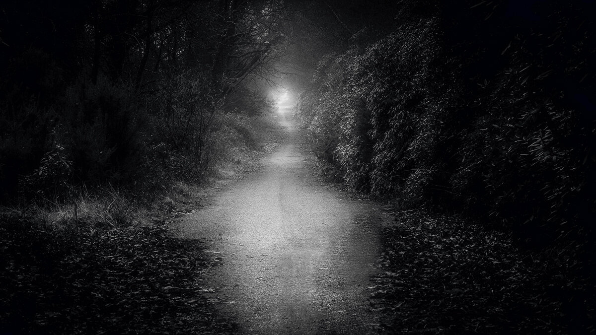 Фотография из открытых источников.