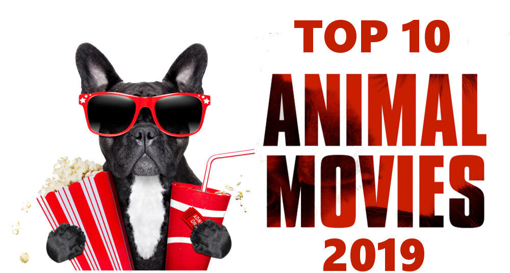  Если вам вдруг показалось, что вы уже видели все стоящие кинокартины о животных, выпущенные в 2019 году, то спорим, что это не так? Zoosite.com.ua составил подборку ТОП-10 фильмов и мультфильмов 2019-го года, посвященных братьям нашим меньшим. Сколько из этих картин вы видели, признавайтесь?

