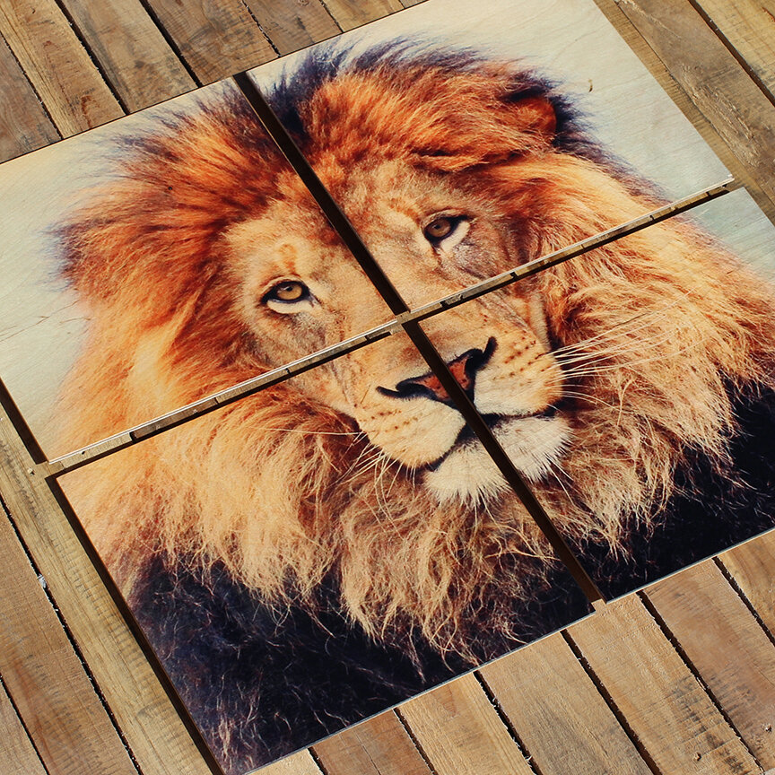 Фото: Яндекс.Картинки