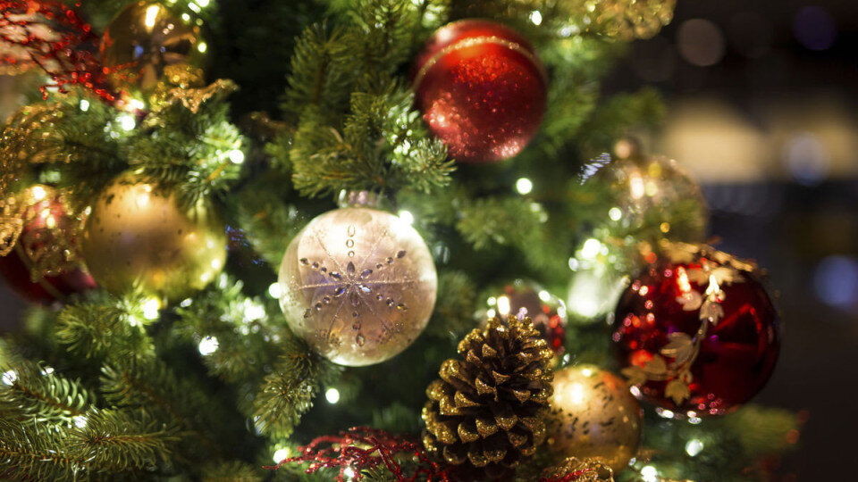 Взято с Яндекс Картинок