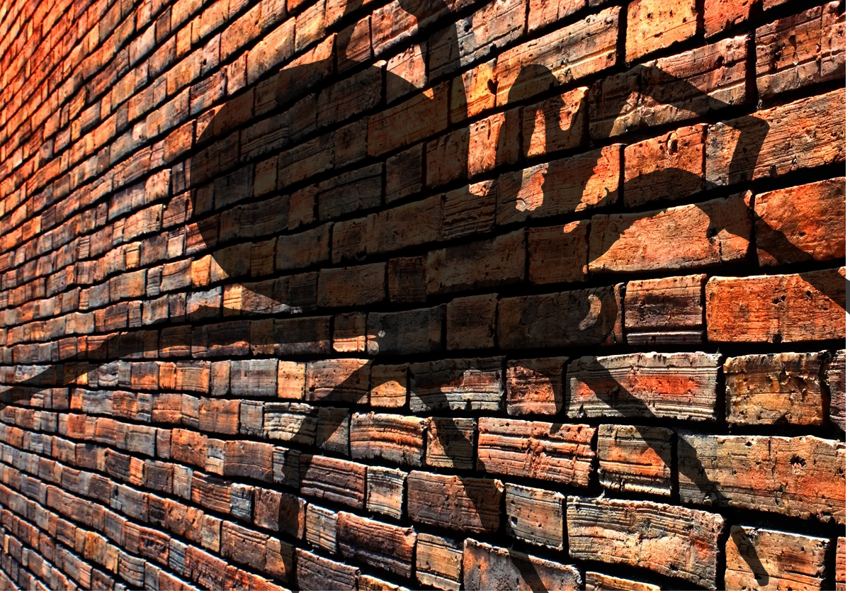 Фото с источника: https://pixabay.com/ru/photos/ 