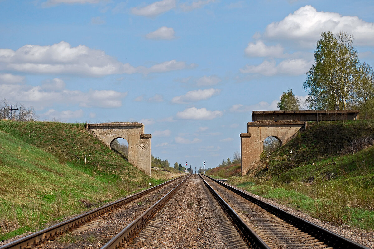 Фото взято из открытого источника