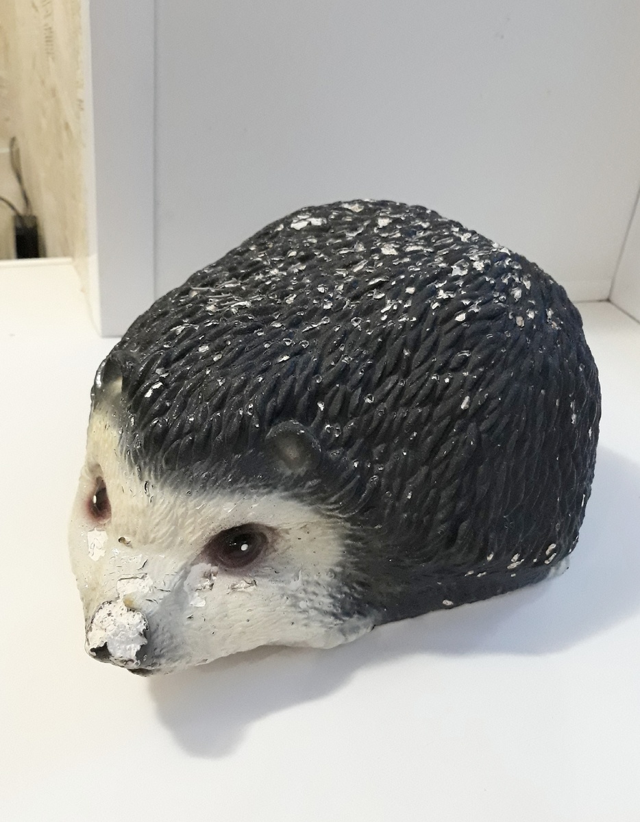 Вот таким объеденым я забирала с клумбы своего ёжика в конце лета. Носик сгрызен полностью.