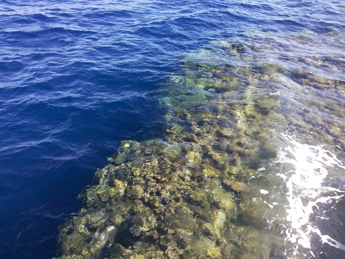 Вертикальный  риф с кораллами 