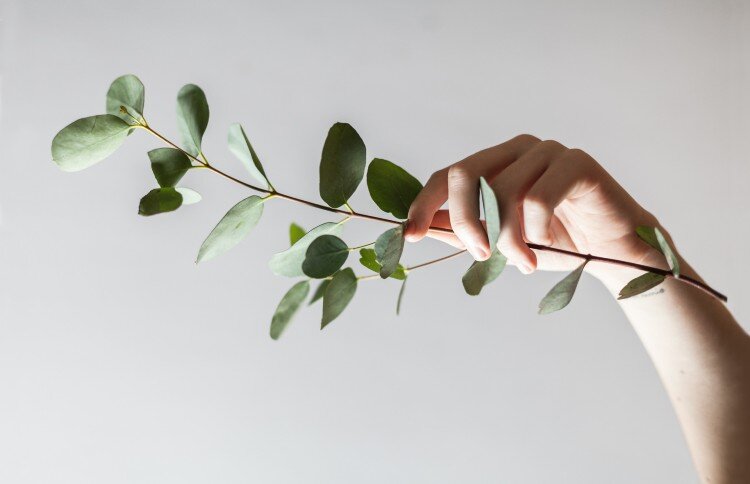 Alex Loup on Unsplash